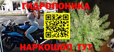 прущие крисы Нальчик