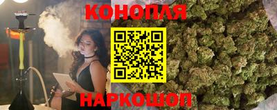 прущие крисы Нальчик