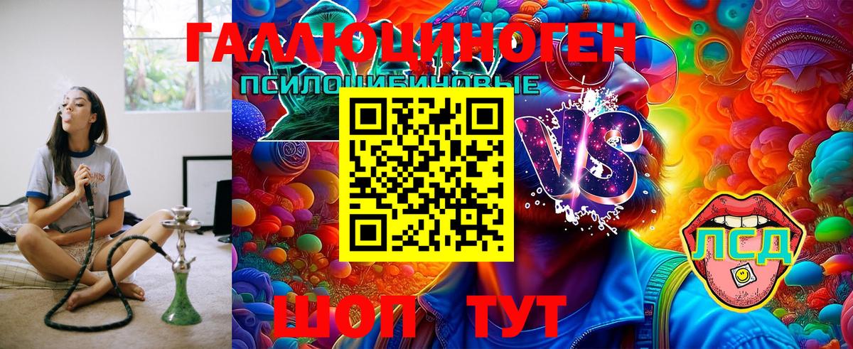Галлюциногенные грибы Magic Shrooms Сланцы