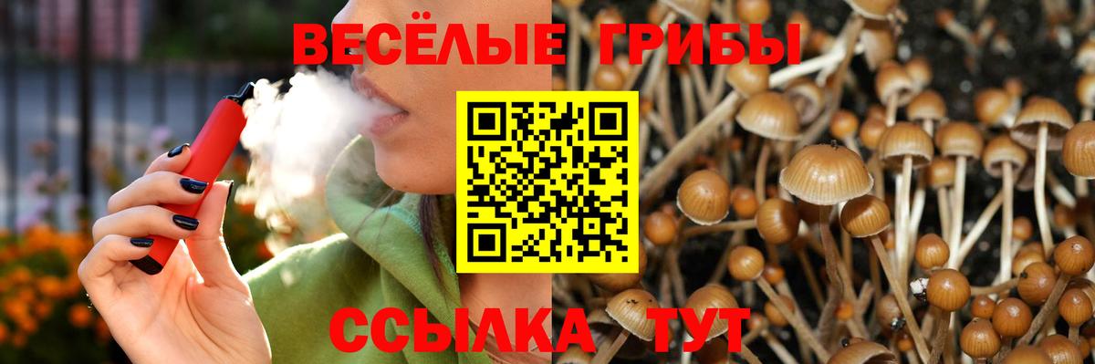 Псилоцибиновые грибы Cubensis  Вход с VPN  Сланцы 